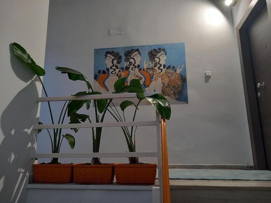 אתונה Acropolis Panoramic Studio מראה חיצוני תמונה